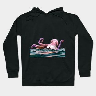 A MUCH Bigger Boat Hoodie